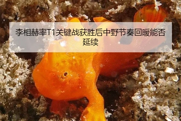 li-xiang-he-lv-guan-jian-zhan-huo-sheng-hou-zhong-ye-jie-zou-hui-nuan-neng-fou-yan-xu-2-529.jpg