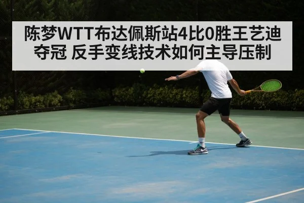 陈梦WTT布达佩斯站4比0胜王艺迪夺冠 反手变线技术如何主导压制